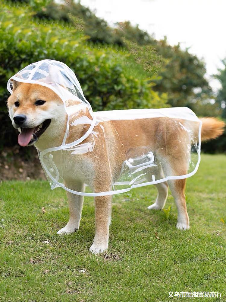 狗透明防水雨披泰迪柴犬专用金毛中型犬小狗雨衣新款宠物衣服柯基