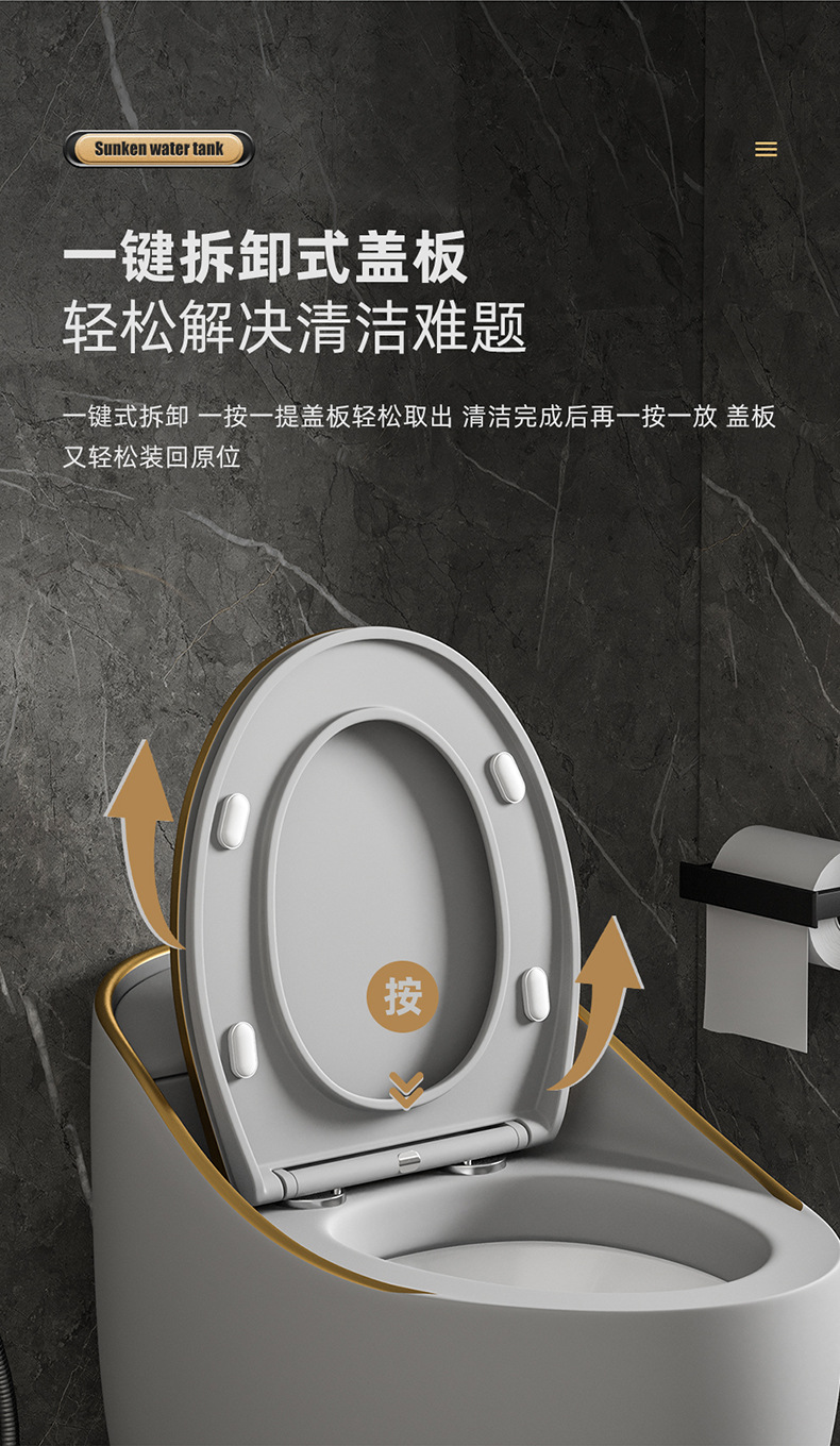 狮王灰金马桶-790_09