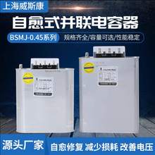 上海威斯康自愈式并联电力电容器BSMJ0.45-30-3 30kvar0.4KV20 25