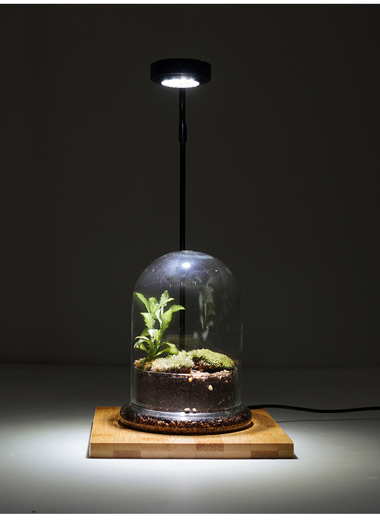 工厂直供竹板灯微景观植物灯观赏鱼缸射灯玻璃瓶苔藓生长补光灯