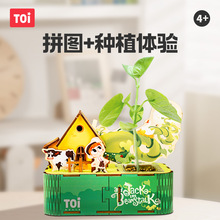 TOI图益3D立体木质植物种植拼图儿童益智手工玩具男孩女孩3-4-5岁