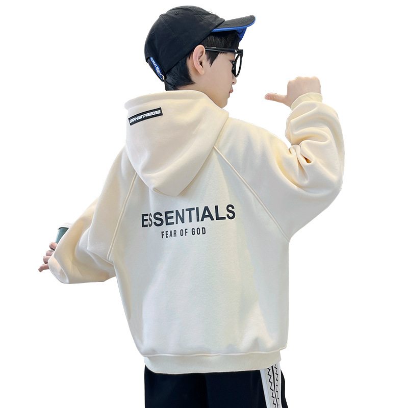 Children's Clothing Wholesale Children's Sweater Spring and Autumn Korean Style Long-Sleeved Hooded Boy's Hoody Middle and Big Children Sports Fashion Brand Top