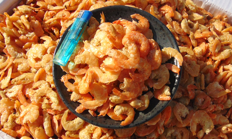 大号虾仁金钩海米开洋虾米500g水产海鲜干货熬粥煲汤商用新鲜食材