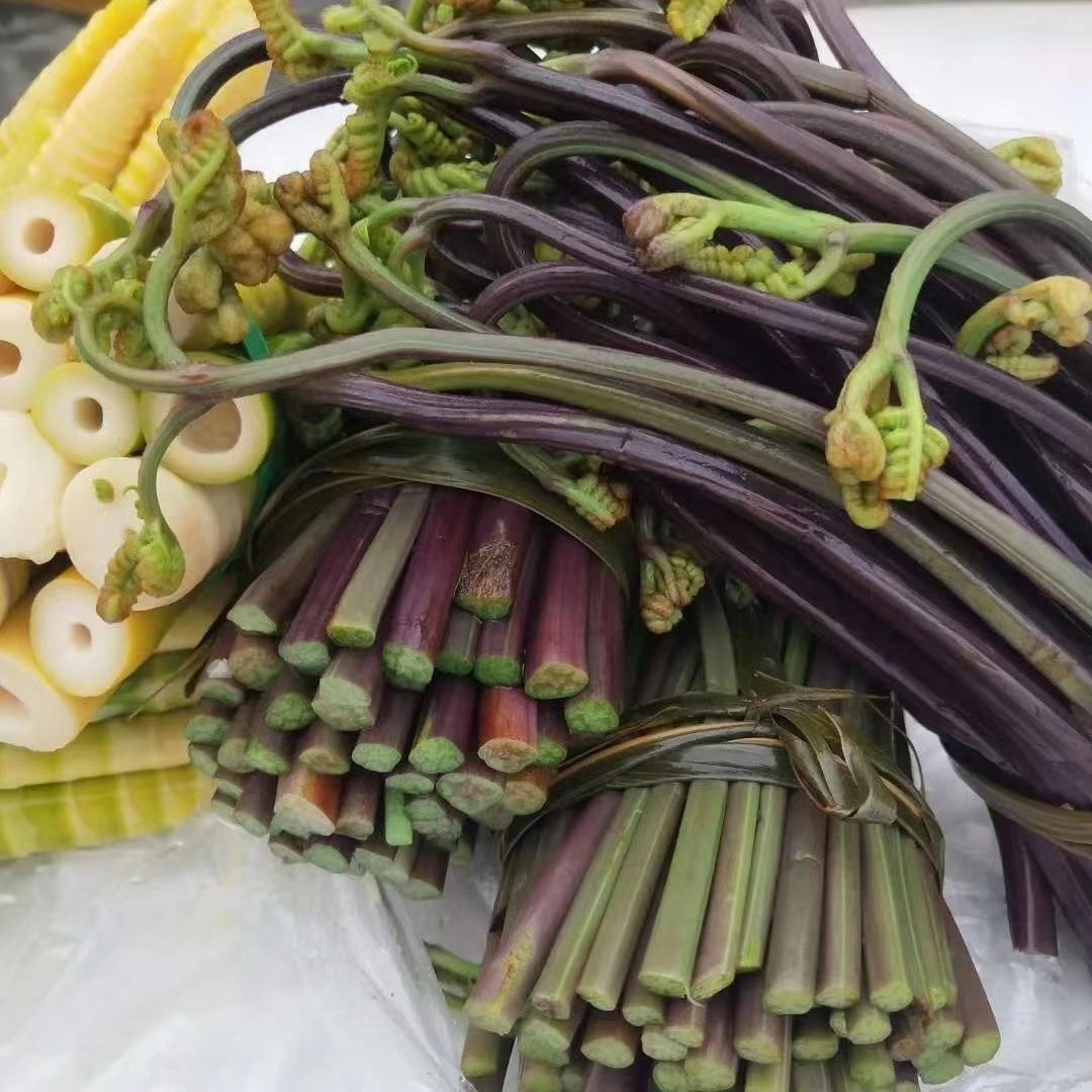 蕨菜山野菜东北特产野生蕨菜长白山袋装保鲜菜整箱餐馆饭店批发