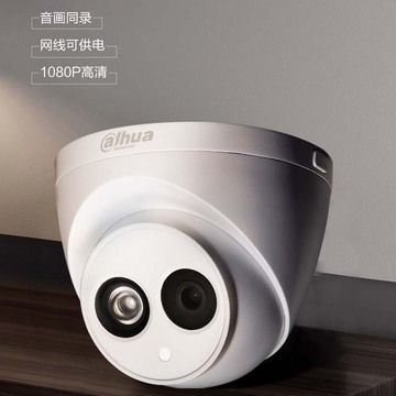 大华200万poe半球高清双光夜视监控摄像头带音频网络摄像机p20t1