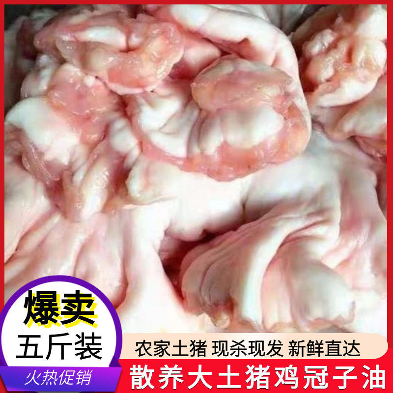 散养土猪鸡冠油生猪油5斤新鲜猪冠油去淋巴猪下水油出油高1斤批发