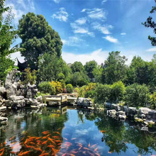 太湖石哪里便宜  公园庭院景观假山驳岸石设计施工 货源充足