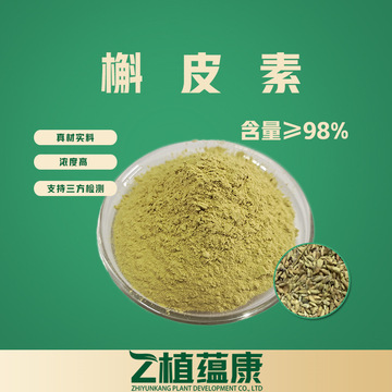 槲皮素95%/98% 二水槲皮素 出口标准 槲皮素