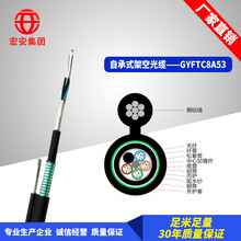 【加工定制】 双护铠装架空松套GYFTC8A53光缆 4芯6芯8芯12芯24芯