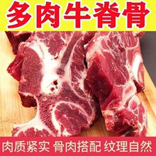 原切牛脊骨多肉牛蝎子商品新鲜牛排骨冷冻批发牛肋排生牛肉牛排骨