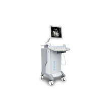 推车式B超机全数字超声诊断系统超声扫描仪黑白超声诊断仪包邮