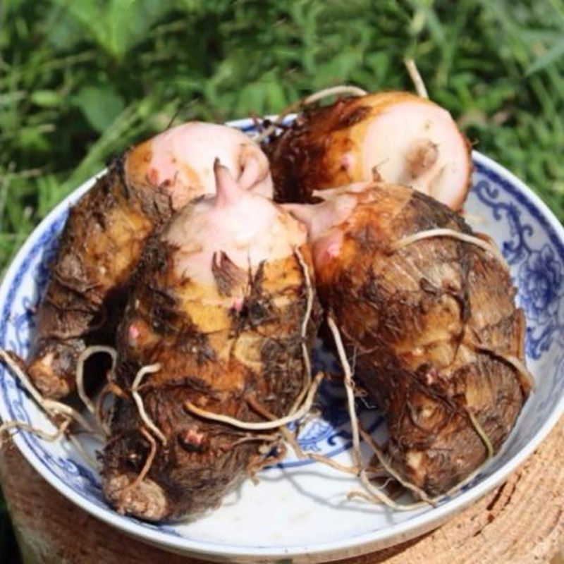 正宗江西上饶玉山红芽芋粉糯小芋头仔新鲜芋艿泥大毛芋子农家自种