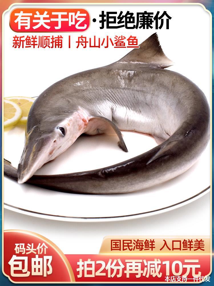 舟山新鲜小鲨鱼深海捕捞鱼海鱼类非白鲨鱼鲜活冷冻海鲜水产鲨鱼肉