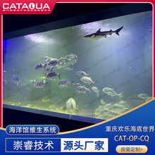 重庆欢乐海底世界水生动物维生项目 海洋馆水族水处理设备