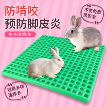 兔笼底板防啃咬兔用塑料加厚脚垫兔子漏粪板兔笼垫板宠物兔用脚垫