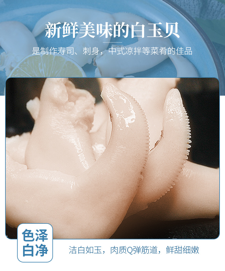 加拿大原装进口白玉贝鸟贝肉500g刺身料理食材日料拼盘