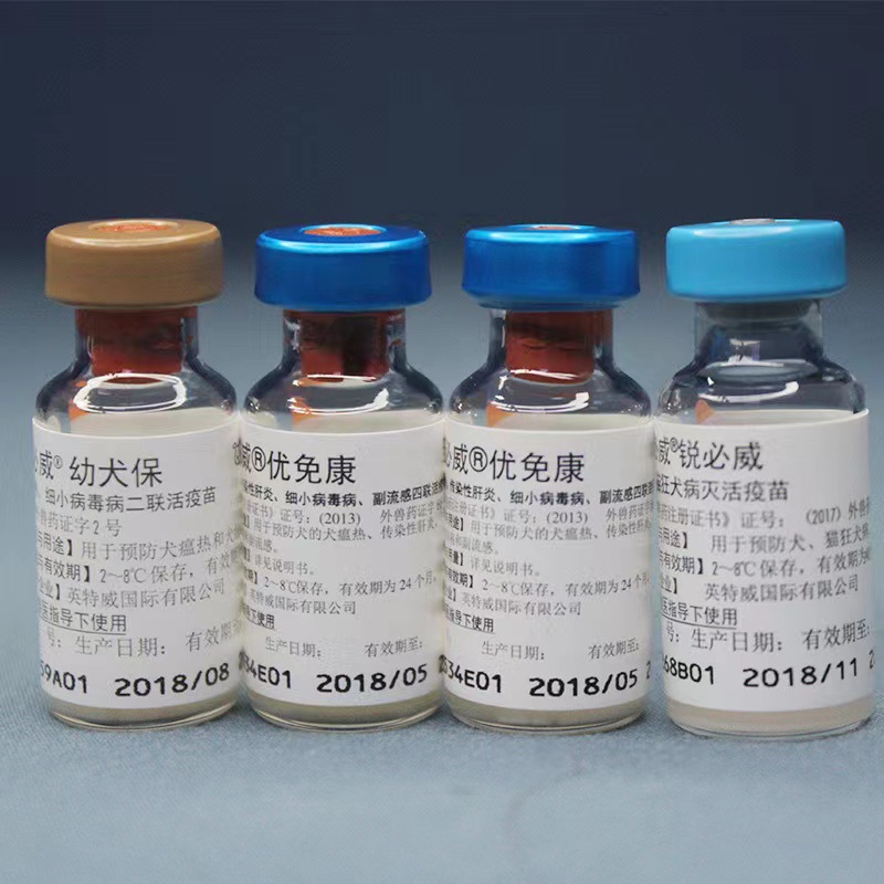 英特威四联二联狂犬一件代发-阿里巴巴