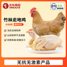 清远走地鸡800g*2只 农家谷饲散养90天土鸡母鸡整鸡童子鸡