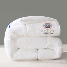 抖音直播同款五星级酒店被芯加厚保暖冬被棉被子太空被暖绒被褥