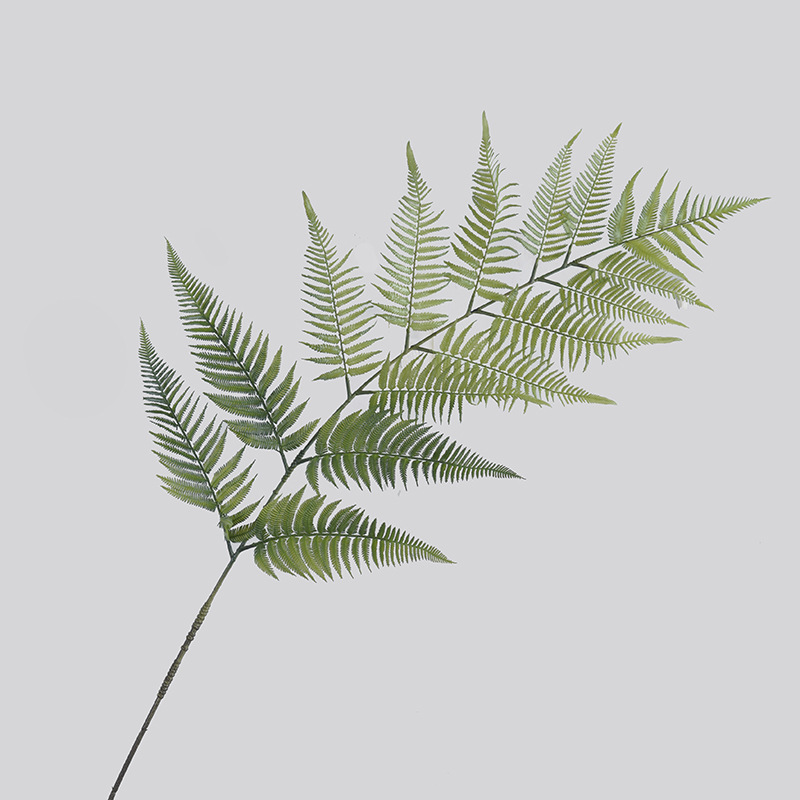 自然禅意景观造景仿真金丝猴蕨 客厅家居装饰仿真绿植金毛狗蕨叶