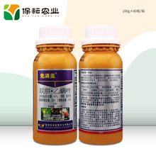 危满盖40%联肼·乙螨唑红蜘蛛杀虫剂 _ 危满盖40%联肼·乙螨唑柑橘树