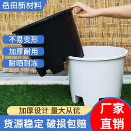 蓝莓专用盆大号呼吸盆加厚圆形透气盆花盆大容量大口径控根种植盆