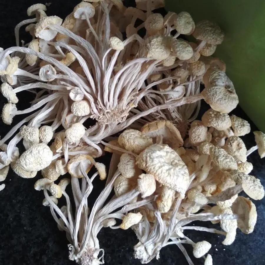 新货白茶树菇干货不开伞香嫩农家自产江西广昌茶薪菇半斤500g