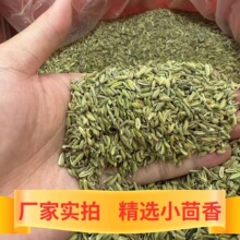 特绿小茴香 干货新货产地批发足干炖羊肉火锅卤料香料源头批发