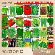 蔬菜种子四季播盆栽阳台庭院香菜青菜萝卜生菜小葱菠菜籽豆子辣椒