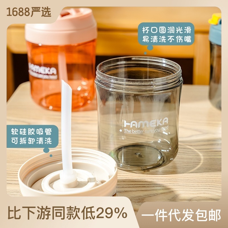 Plastic Cup Cup with Straw Portable Water Cup Nordic Style Simple Milk Coffee Cup Student Handy Double Drinking Cup Cross-Border