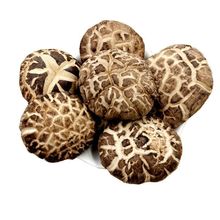 花菇干货批发肉厚椴木小冬菇净重花茹香菇香茹