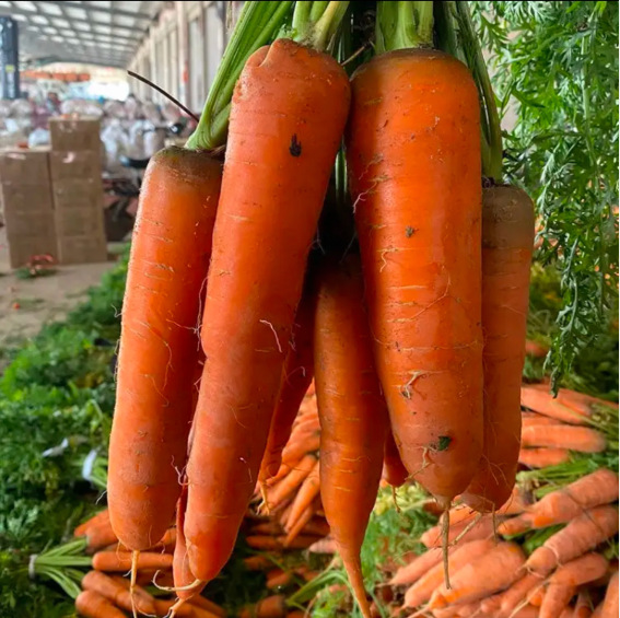 新鲜农家当季蔬菜水果自种现挖脆甜红心胡萝卜5斤包邮