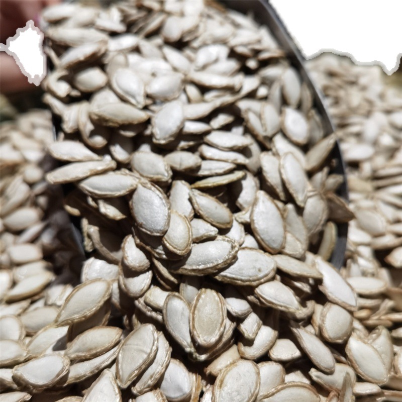 云南农家自种老品种毛边南瓜籽 生的原味手工精选 大小颗粒南瓜子