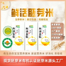 有机胚芽米鲜活奥秘东北大米宝宝粥米营养米500g/盒