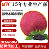 OFK牌接骨木莓水果粉速溶浓缩果汁粉固体饮料益生菌食品原料|ms OFK牌接骨木莓水果粉速溶浓缩果汁粉固体饮料益生菌食品原料|ms