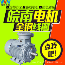 皖南电机防爆YB3-100L1-4 2.2KW隔爆型三相异步电动机160kw185kw