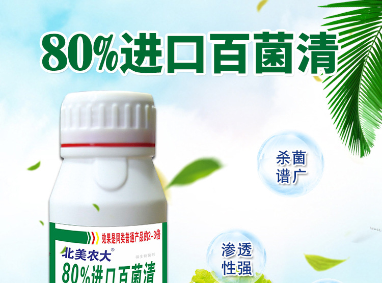 进口百菌清杀菌剂白粉病霜霉早晚疫病灰霉病辣椒番茄草莓葡萄蔬菜