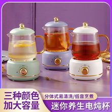 多功能养生杯办公室小型煮茶器电炖杯玻璃养生壶花茶电热杯礼盒装