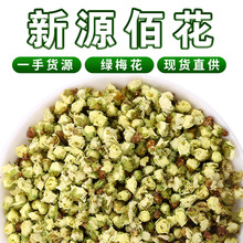 厂家批发新货白梅花 散装直供黄山绿梅花 花茶干花大货供应绿萼梅