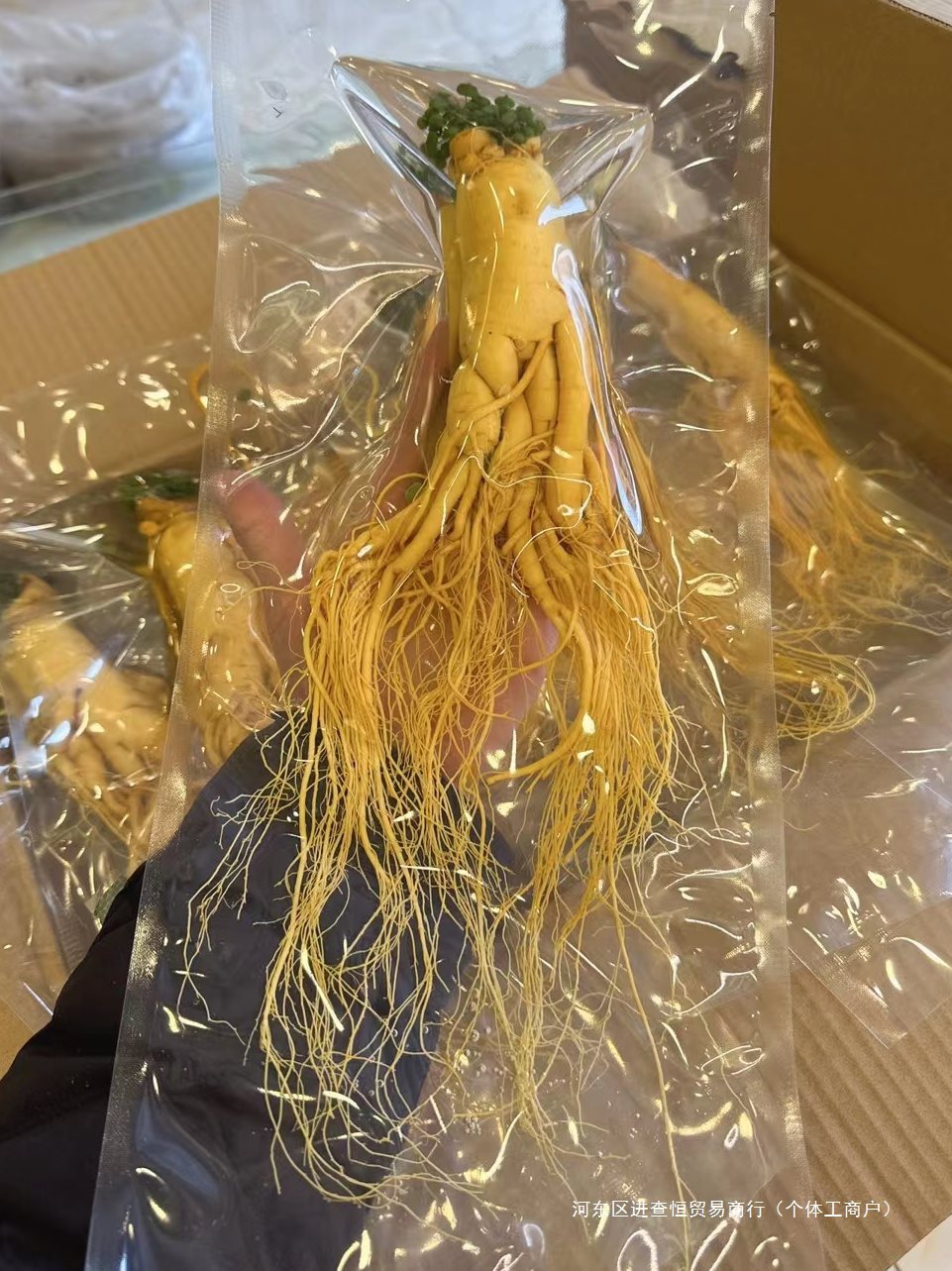 长白山人参特大单只一斤鲜人参大保鲜参东北特产吉林人参泡酒