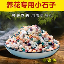 养花专用小石子放在花盆里的五彩石鱼缸盆栽小石头装饰肉肉铺面石