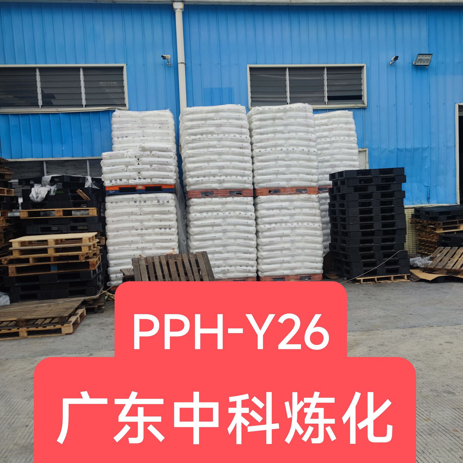 pp广东中科炼化ep548r聚丙烯塑料颗粒pph-y26聚丙烯pp颗粒z30s