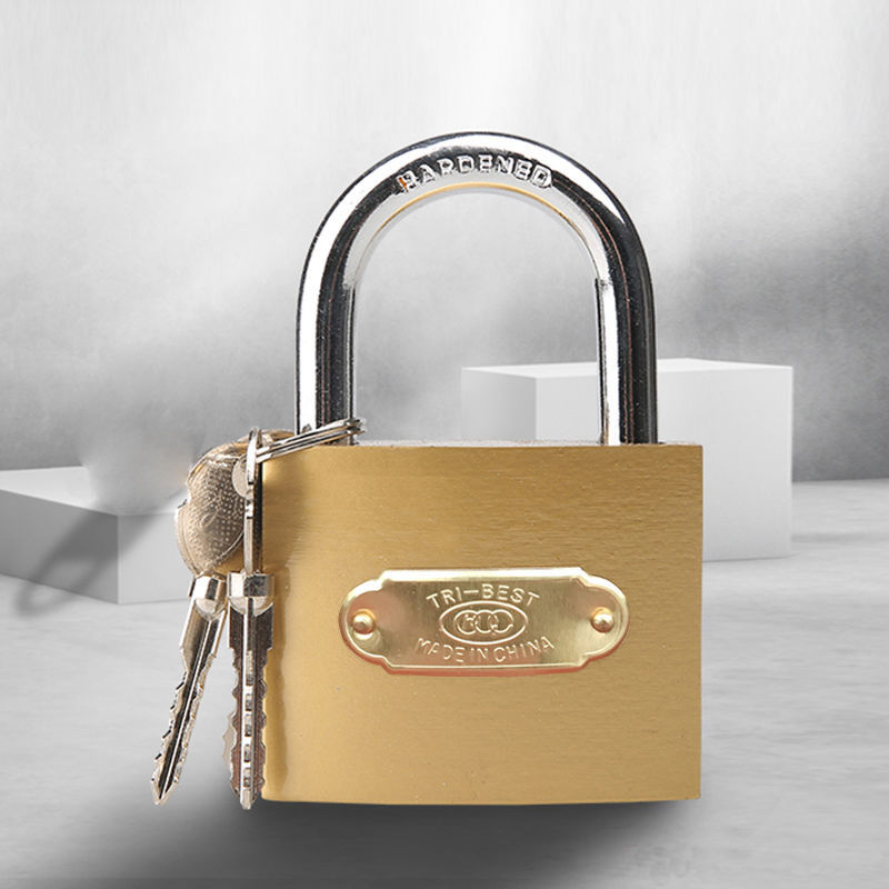 智能盗锁隐形防锁