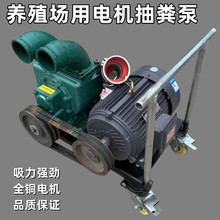 柴油电启动吸粪泵 3寸口径电机带抽粪泵 养殖场排污泥浆泵