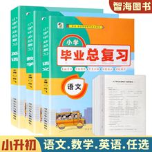 小学毕业总复习资料小升初必刷题语文数学英语系统知识点大全书籍