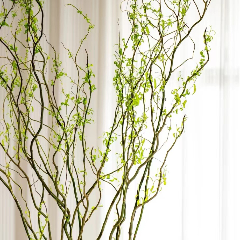 龙柳云南鲜花龙柳枝鲜枝会发芽枝条有粗细顺丰包邮水养水培植物