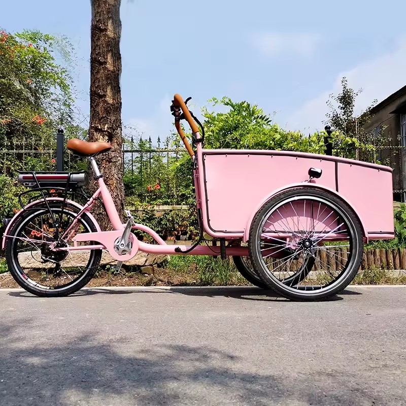 倒骑三轮车 cargo bike 出口欧美电动车粉色铝皮人力脚踏三轮车