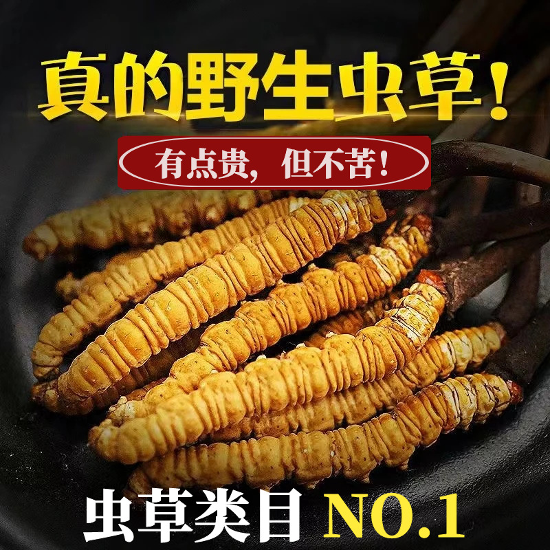 冬虫夏草野生虫草头期非西藏那曲冬虫夏草过节送礼礼盒装-阿里巴巴