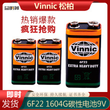 Vinnic松柏银战士6F22万用表无线麦克风数码相机额温枪专用电池9V