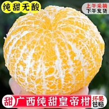广西皇帝柑大果10斤新鲜儿童水果一级橘子贡柑当季桔子黄帝柑